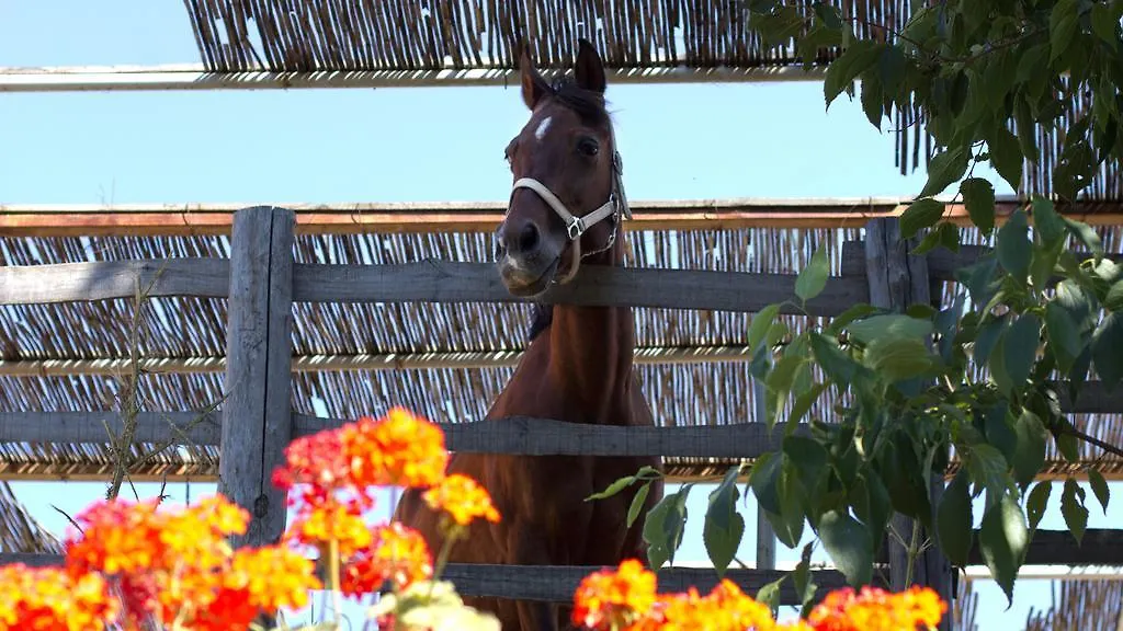 Agriturismo San Cataldo Motta Camastra Farm stay